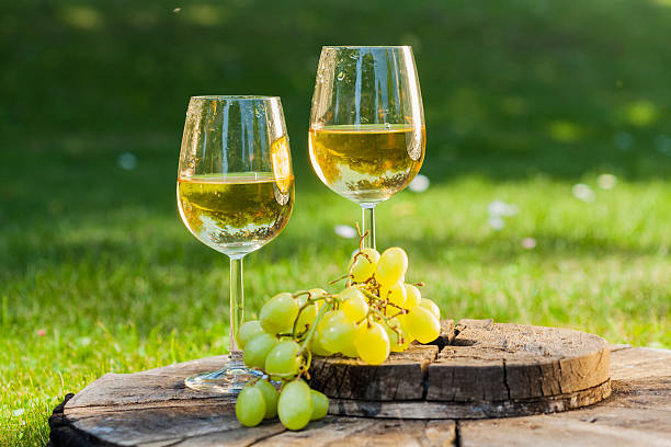 Sauvignon Blanc: 6 bottles to try and what to know
